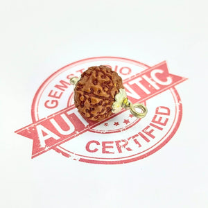 7 Mukhi Rudraksha – Indonesia