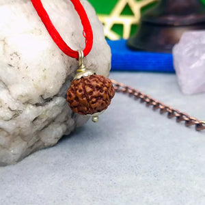 7 Mukhi Rudraksha – Indonesia