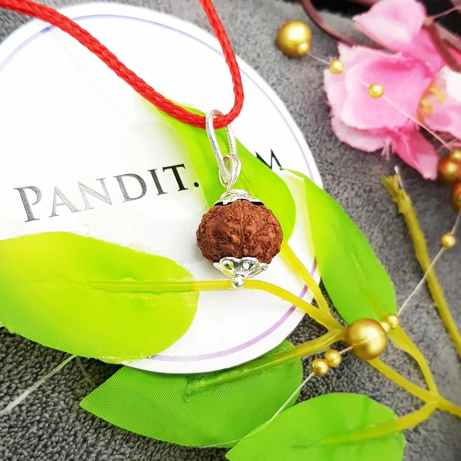 7 Mukhi Rudraksha Indonesia