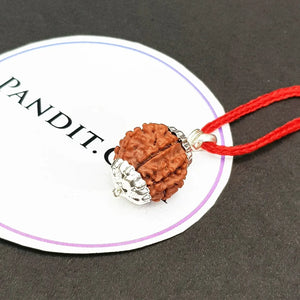 7 Mukhi Nepal Rudraksha