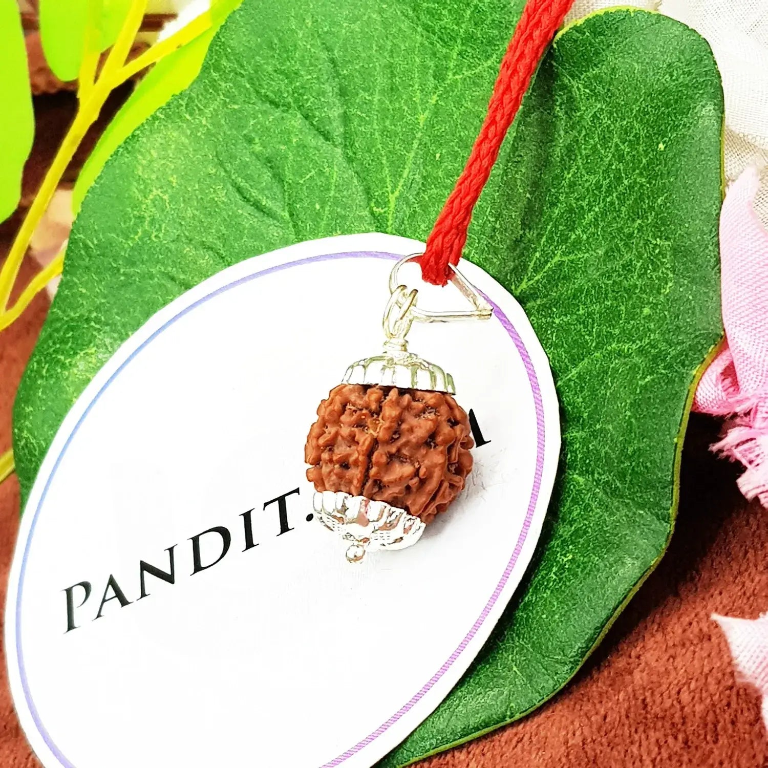 7 Mukhi Nepal Rudraksha