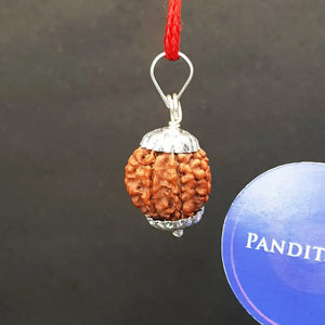 7 Mukhi Nepal Rudraksha