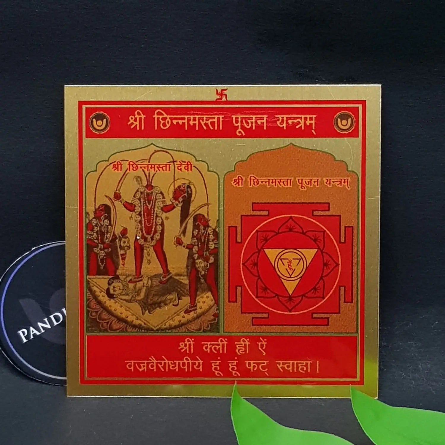 Shri Chinnamasta Pujan Yantra