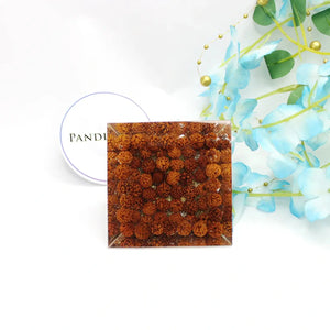 Shri Santan Gopal Pyramid Yantra With 5 Mukhi Rudraksha Beads