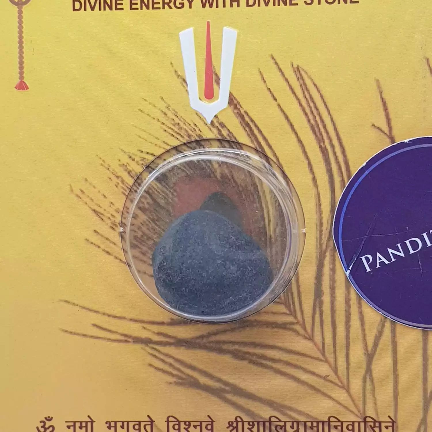 Shri Santan Gopal Shaligram