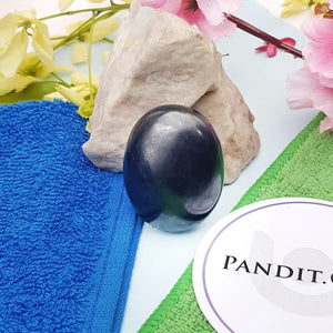 Shungite Healing Crystal Palm Stone