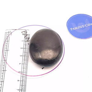 Shungite Healing Crystal Palm Stone