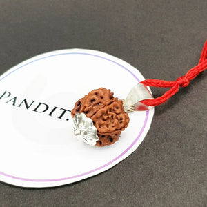 6 Faced Nepal Rudraksha