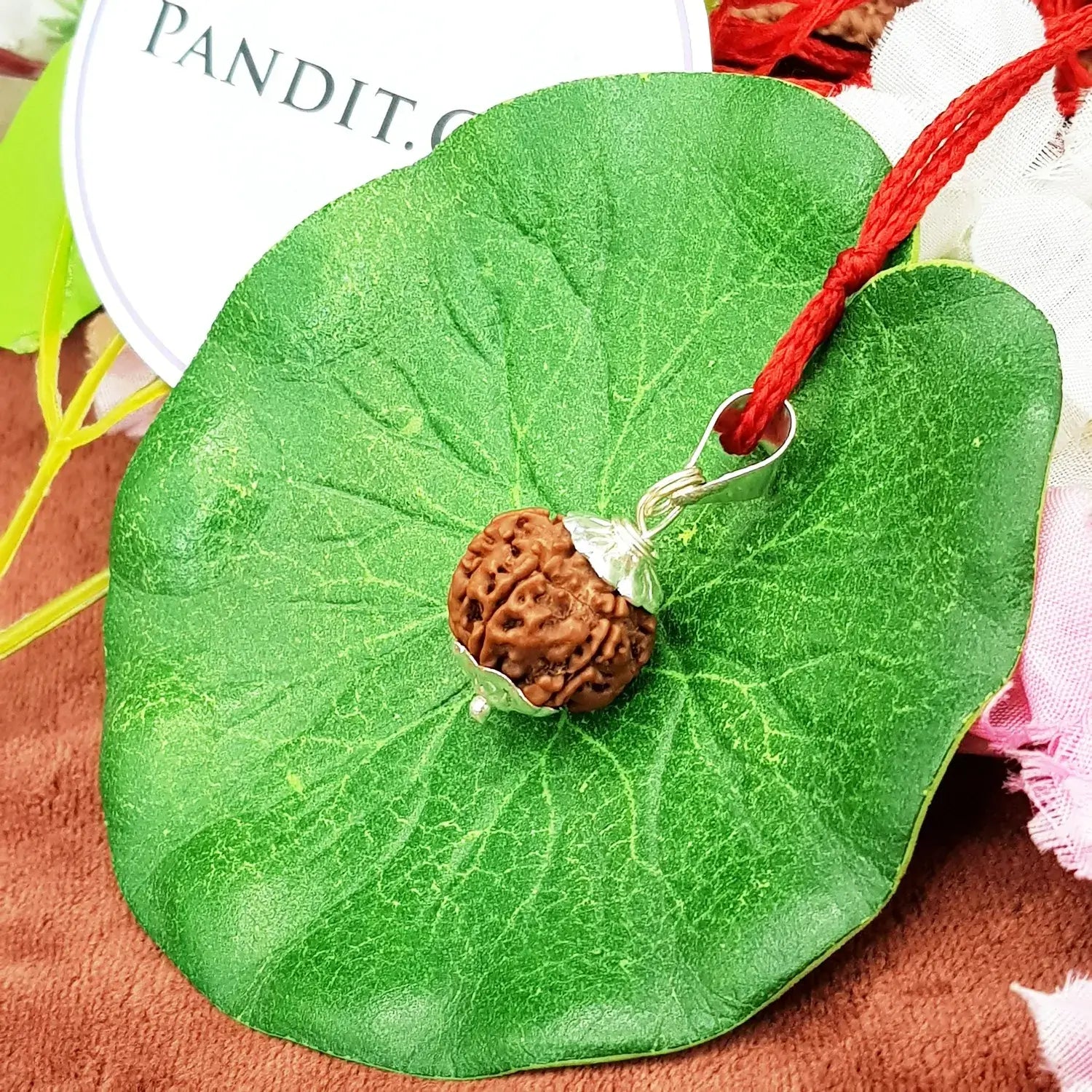 6 Faced Nepal Rudraksha
