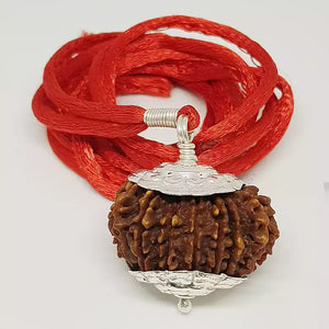 16 Faced Rudraksha – Nepal
