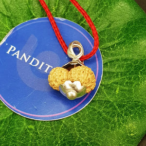 Sixteen Mukhi Rudraksha Indonesia