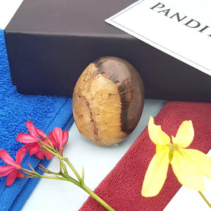 Spotted Jasper Healing Crystal Palm Stone