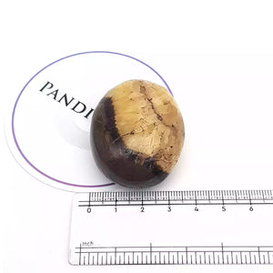 Spotted Jasper Healing Crystal Palm Stone