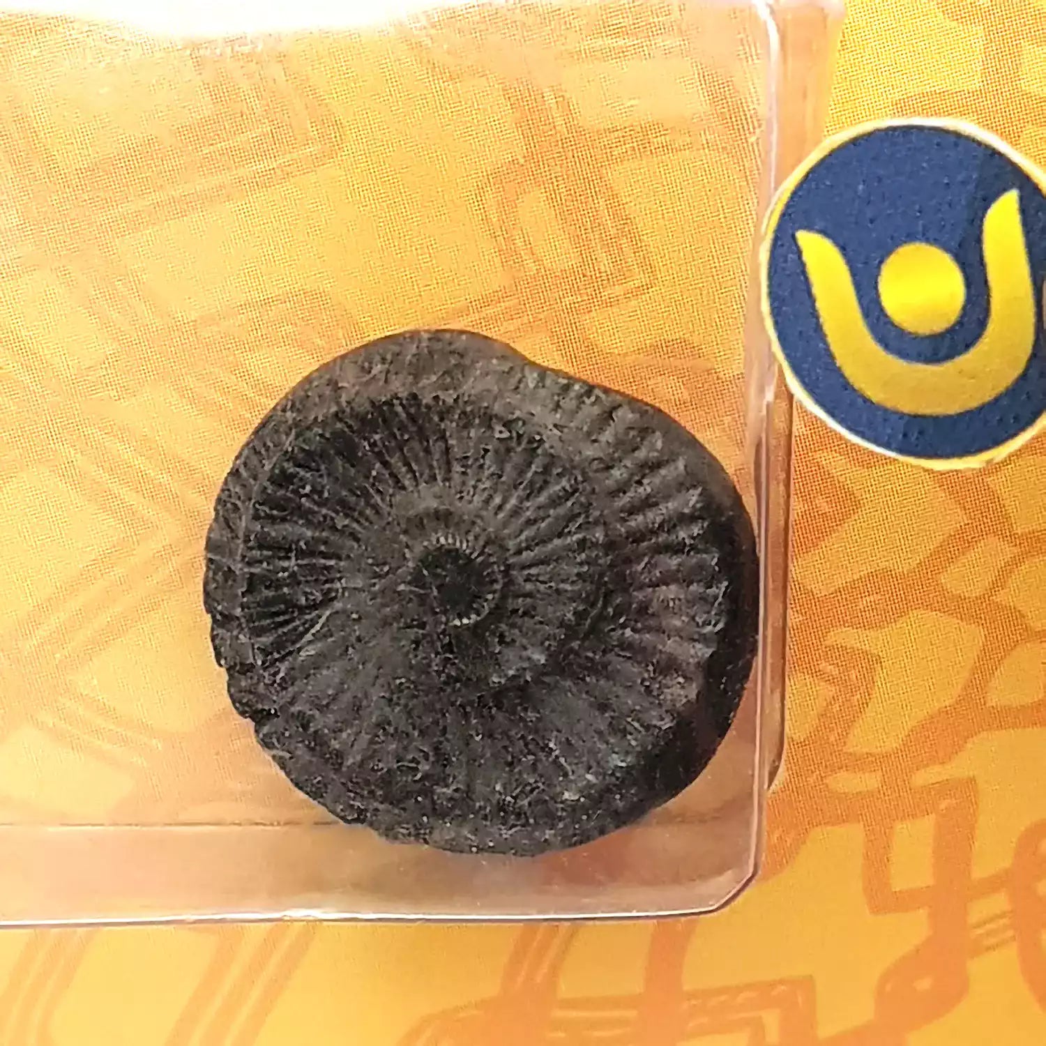 Sudarshan Shaligram Without Pendant