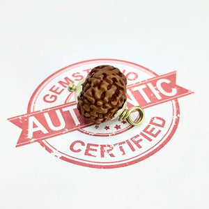 10 Mukhi Rudraksha – Indonesia