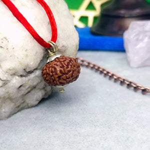 10 Mukhi Rudraksha – Indonesia