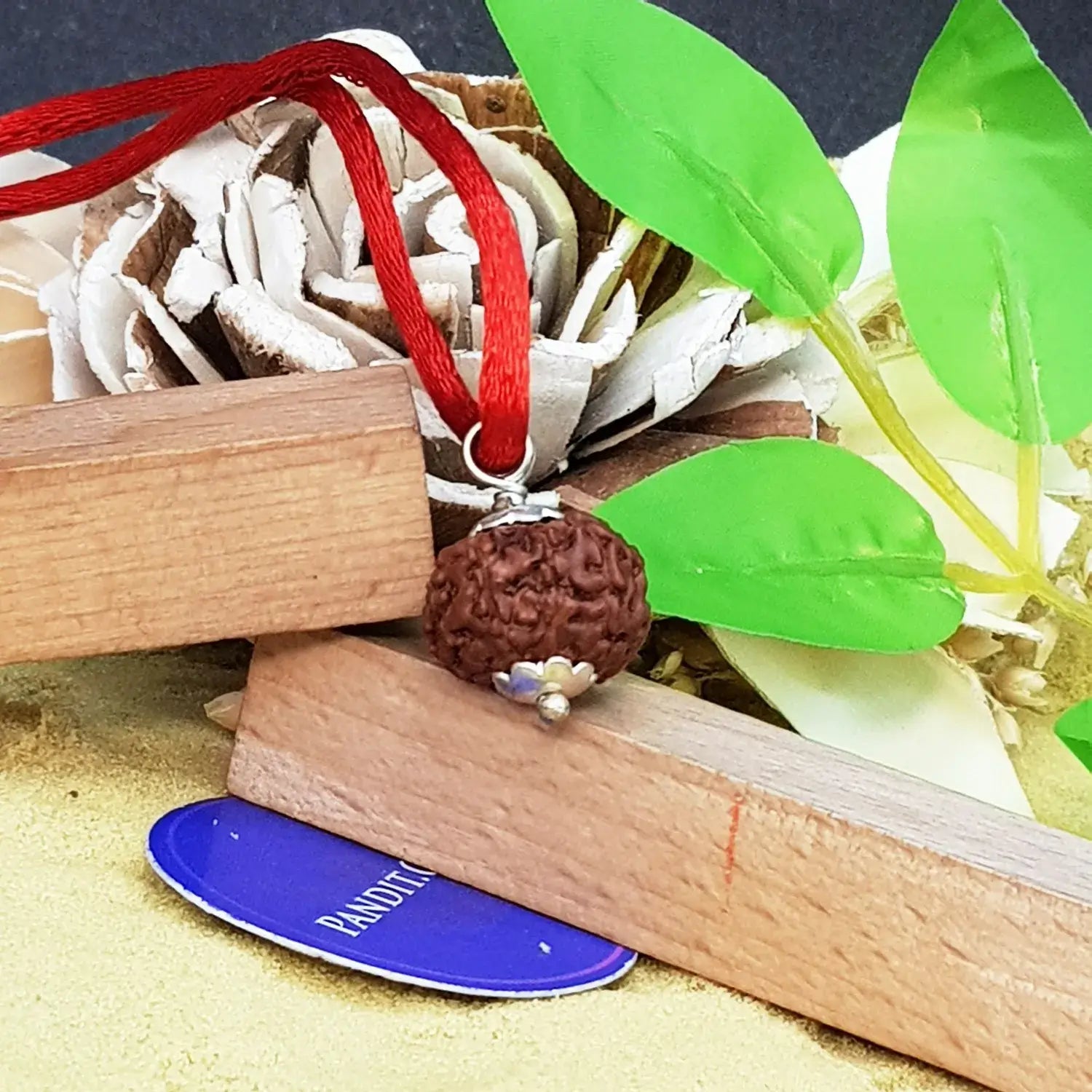 10 Mukhi Indonesia Rudraksha