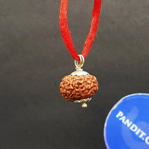 10 Mukhi Indonesia Rudraksha