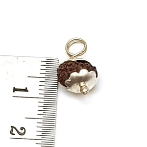 Thirteen Mukhi Rudraksha Indonesia