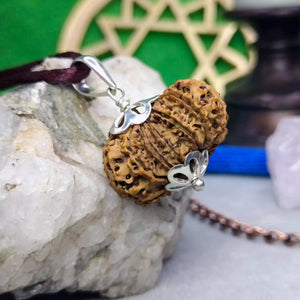 13 Faced Rudraksha – Nepal