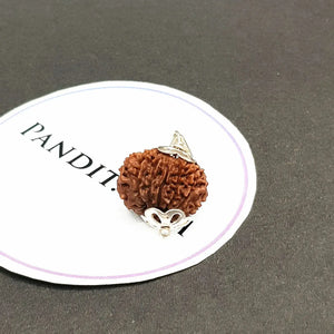 13 Faced Nepal Rudraksha