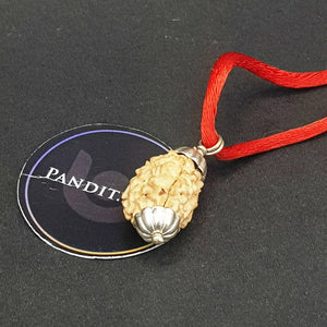 Three Mukhi Premium Rare Rudraksha