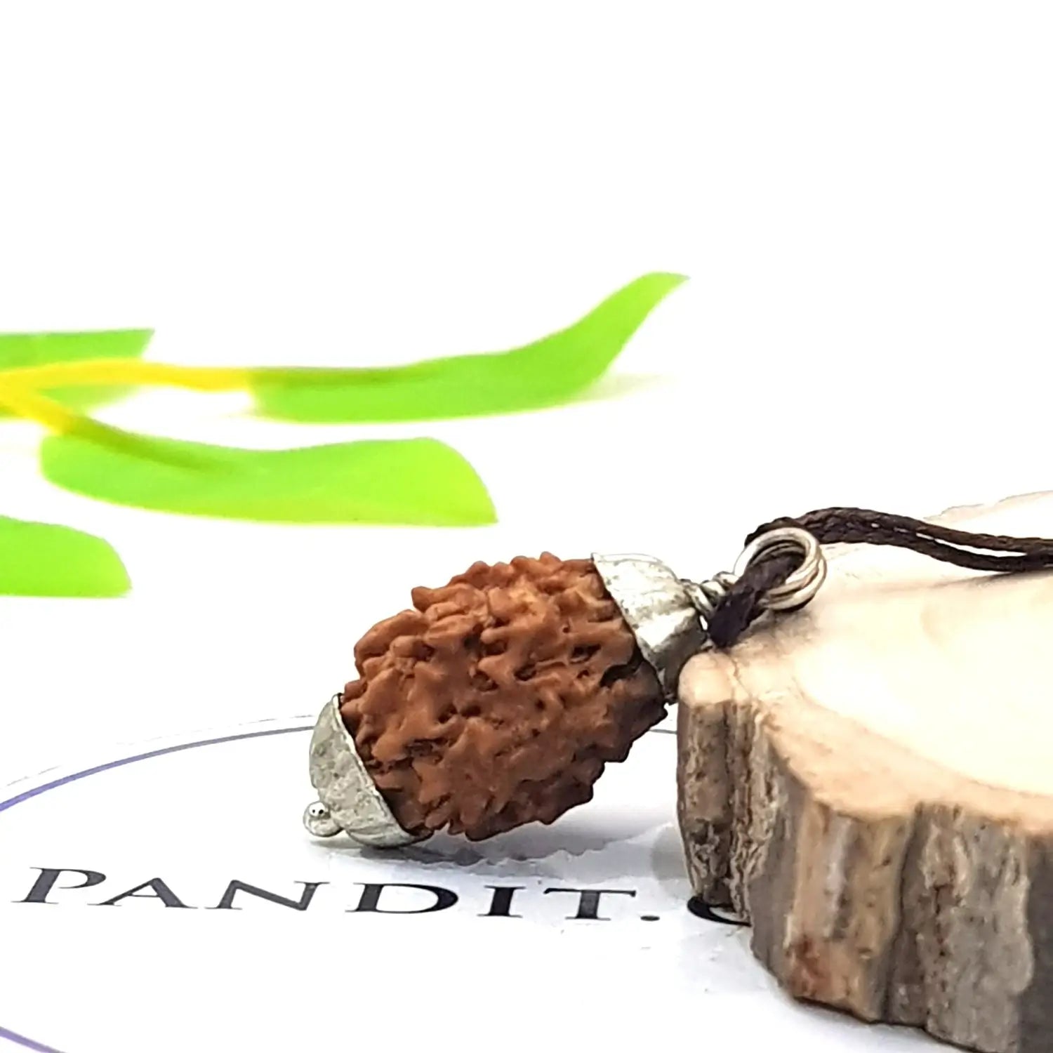 Three Mukhi Premium Rare Rudraksha