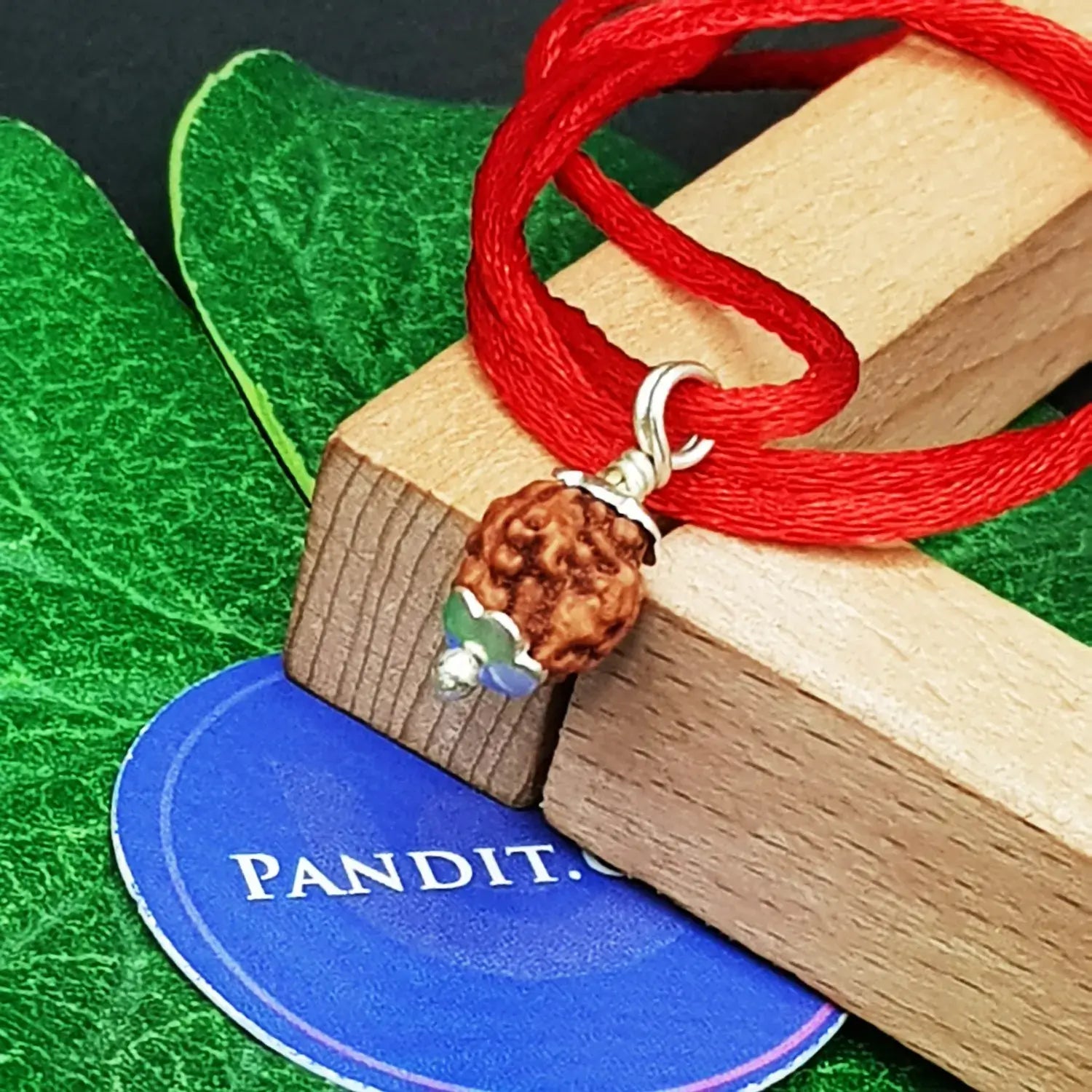 3 Mukhi Rudraksha Indonesia