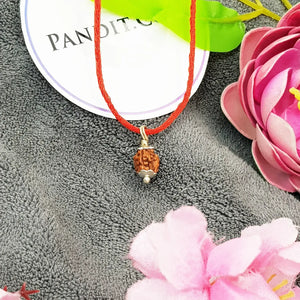 3 Mukhi Rudraksha Indonesia