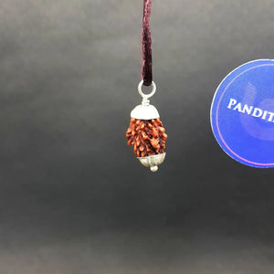 3 Mukhi Nepal Rudraksha