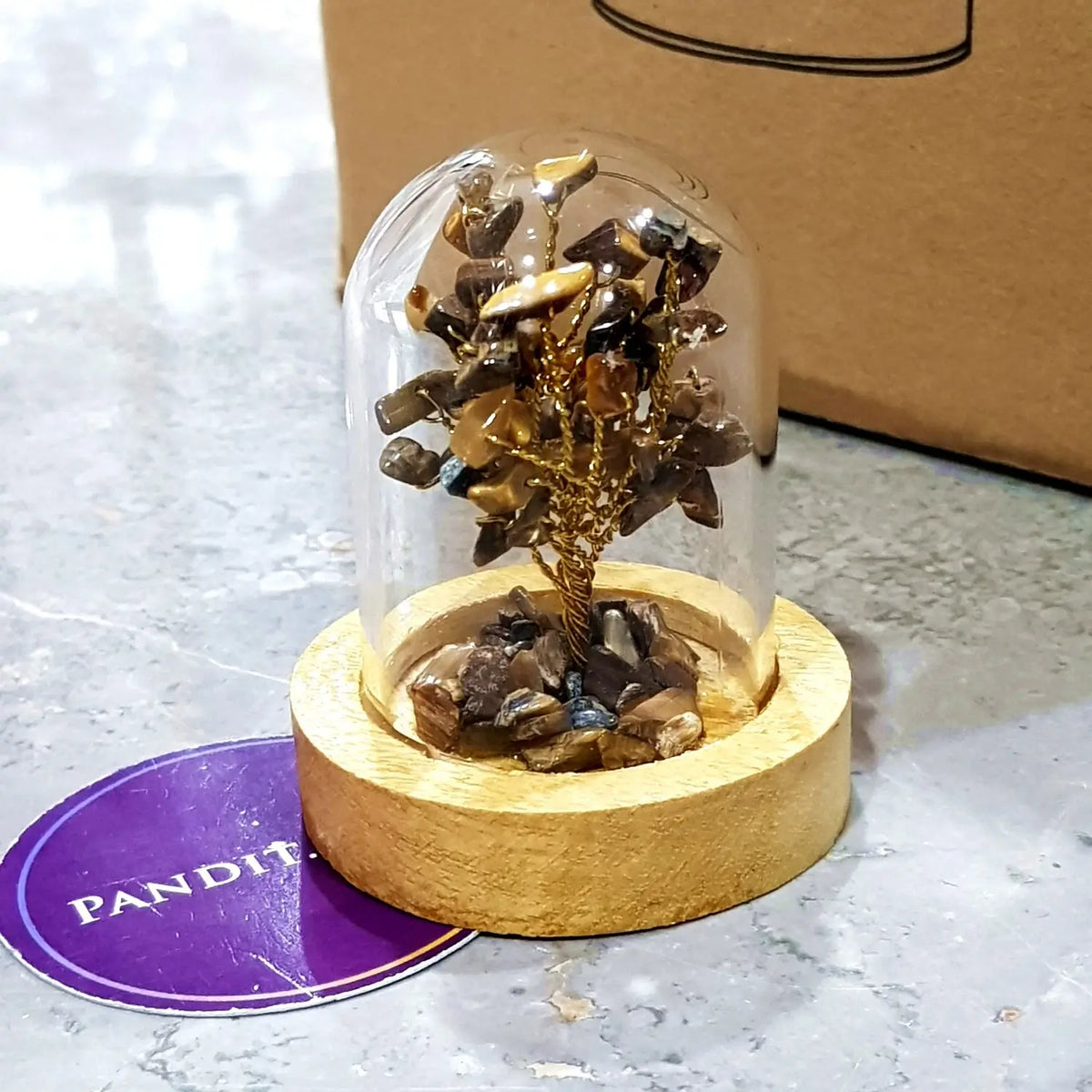 Tiger Eye Tree With Glass Cover & Wooden Base — close-up of facial features and detail