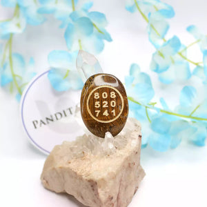 Tiger Eye Zibu Symbol Coin