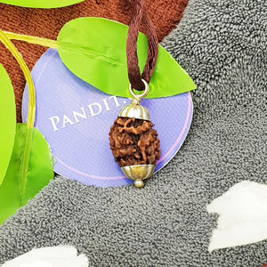 Two Mukhi Premium Rare Rudraksha