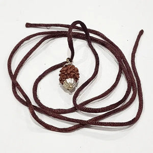 Two Mukhi Premium Rare Rudraksha