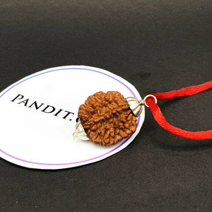 2 Faced Rudraksha India