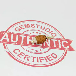 2 Mukhi Rudraksha – Indonesia