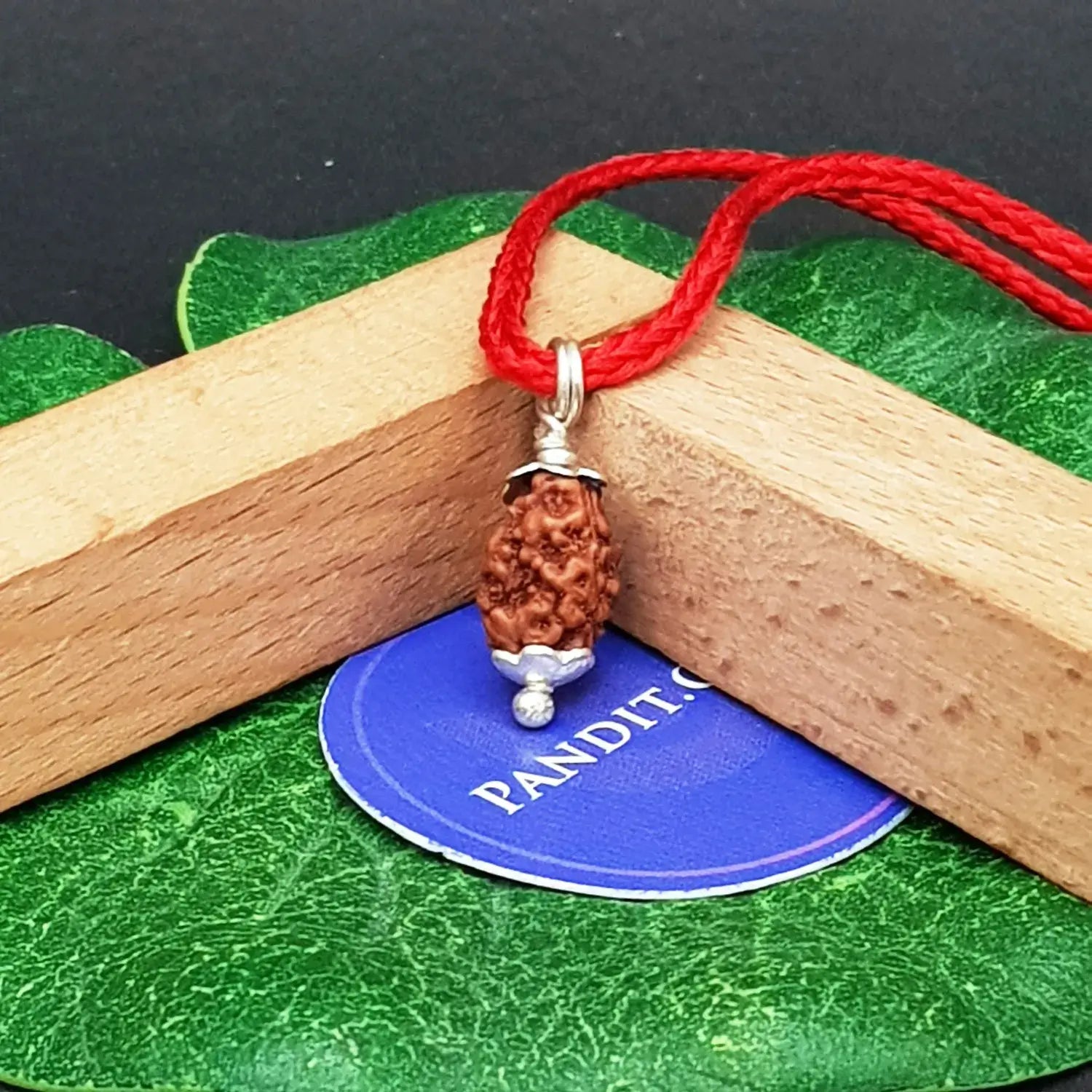 2 Mukhi Rudraksha Indonesia