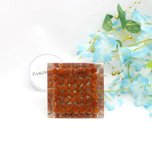 Vahan Durghatna Nivaran Pyramid Yantra With 5 Mukhi Rudraksha Beads