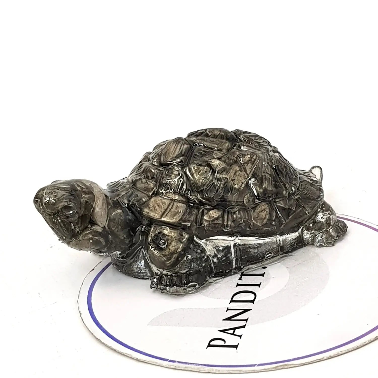 Vastu Pyrite Tortoise — close-up of facial features and detail