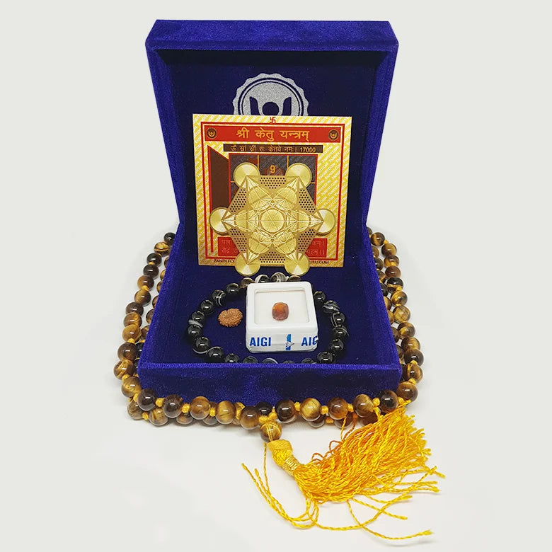 Videsh Yatra Yog Kit