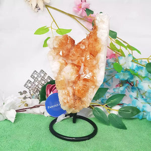 Yellow Citrine Cluster Geode