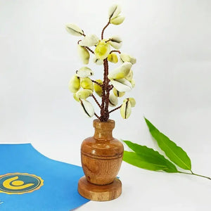 Yellow Kaudi Tree Big