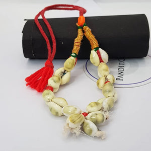 Yellow Laxmi Kaudi Mala Two Layer Small