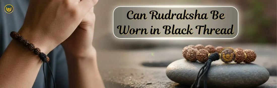 Thread Rudraksh Rudraksha in Black Thread: Spiritual Meaning & Benefits - Pandit.com