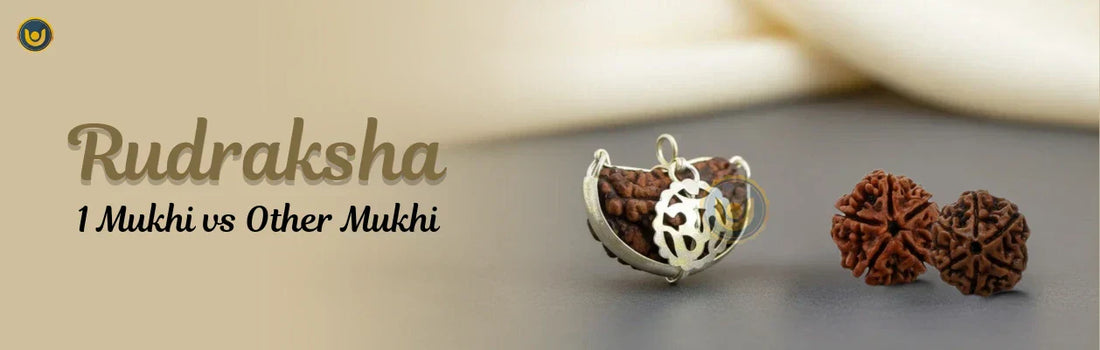 Difference Between 1 Mukhi & Other Mukhi Rudraksha