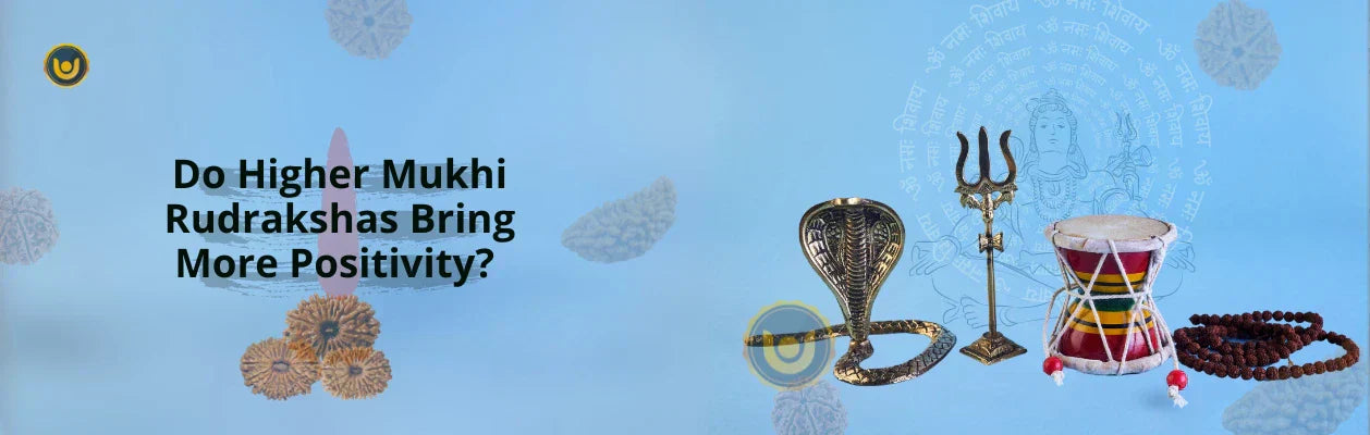 Do Higher Mukhi Rudrakshas Bring More Positivity? 