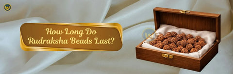 Lifespan of Rudraksha: How Long Do These Sacred Beads Last?