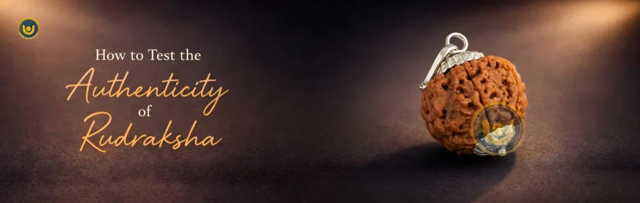 How to Test the Authenticity of Rudraksha