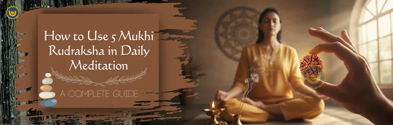 How to Use 5 Mukhi Rudraksha in Daily Meditation: A Complete Guide