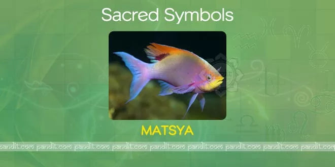 What is Matsya